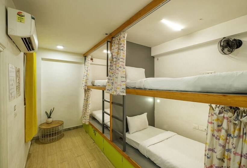 تختخواب در اتاق مشترک, Moustache Hostel Jaipur