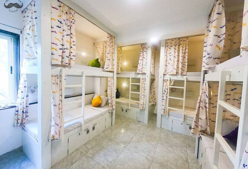 تختخواب در اتاق مشترک, Moustache Hostel Jaipur