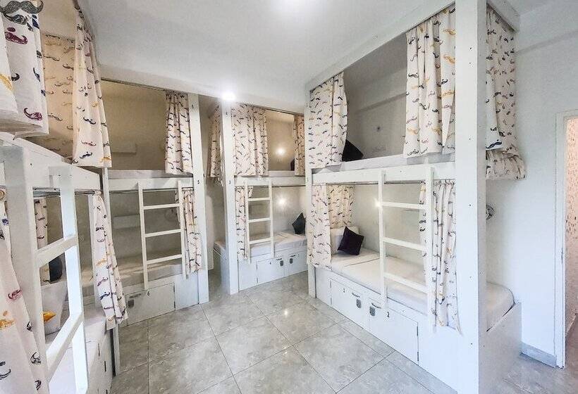 تختخواب در اتاق مشترک, Moustache Hostel Jaipur
