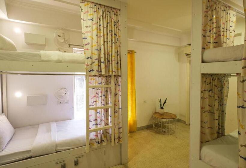 تختخواب در اتاق مشترک, Moustache Hostel Jaipur