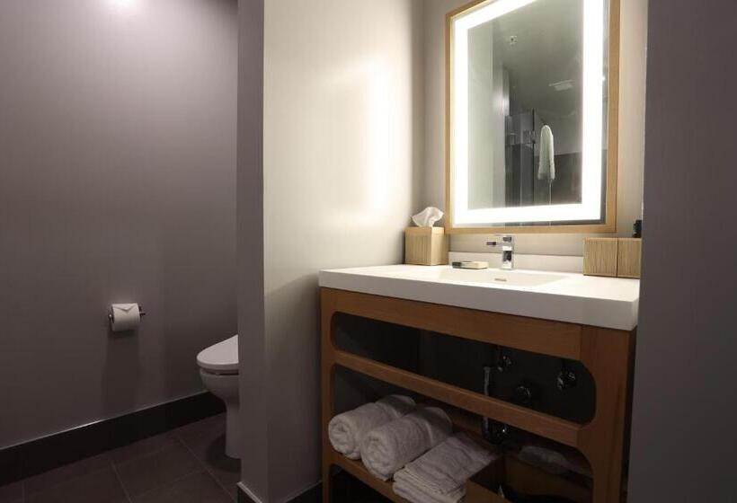 اتاق استاندارد, Cedartree Hotel Portland Hillsboro
