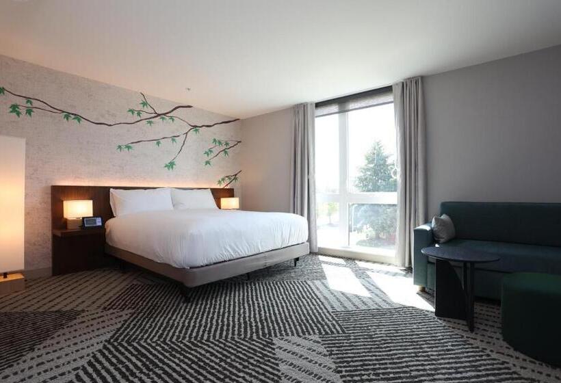 اتاق دلوکس مخصوص معلولین, Cedartree Hotel Portland Hillsboro