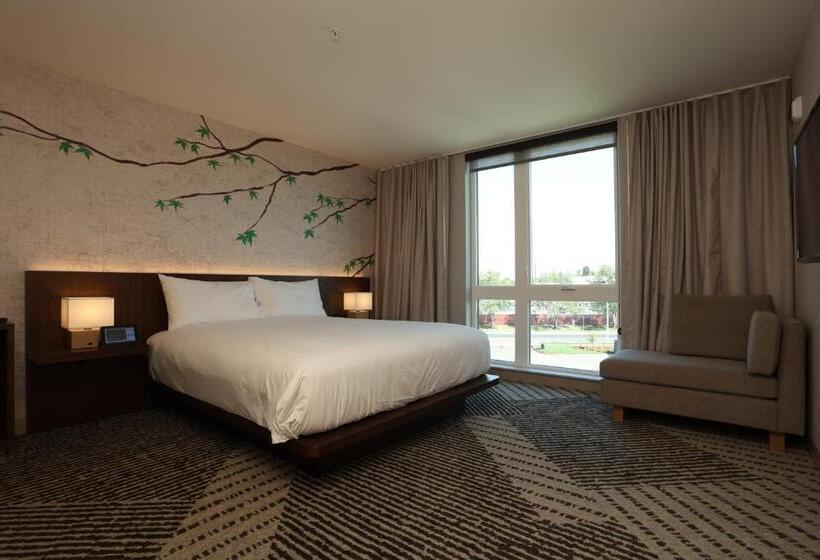سوییت, Cedartree Hotel Portland Hillsboro