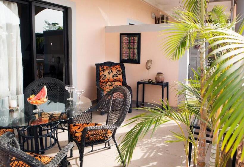 سوییت اجرایی, Rooftop Boutique Hotel Adults Only