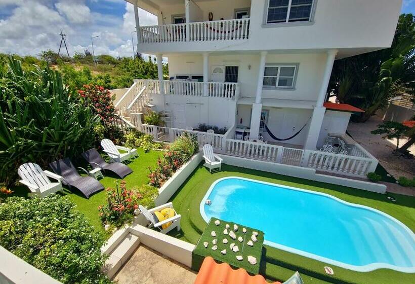 اتاق استاندارد با چشم‌انداز استخر, Adonai Hotel Boutique