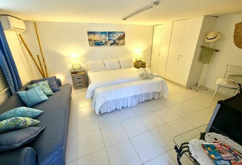 اتاق استاندارد با چشم‌انداز استخر, Adonai Hotel Boutique