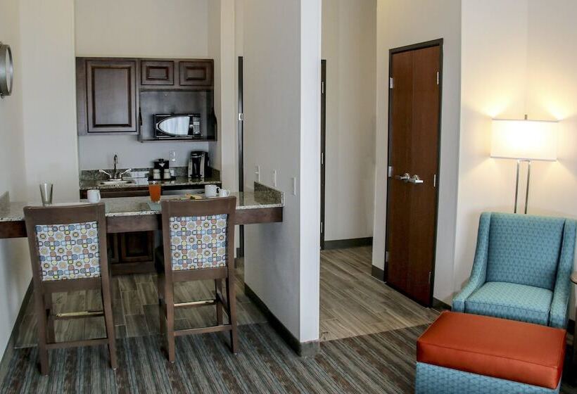 اتاق استاندارد با تخت دوبل, Holiday Inn & Suites Denver Tech Center Centennial, An Ihg