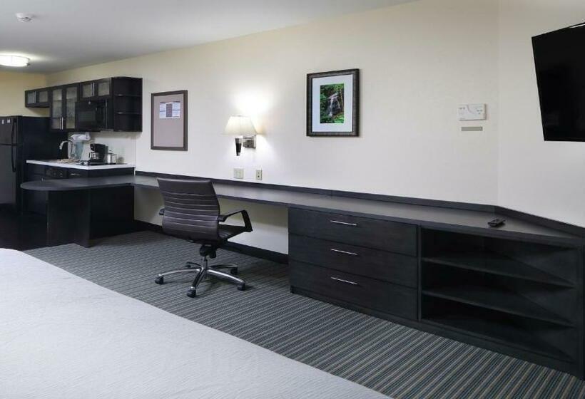 استودیو استاندارد با تخت کینگ, Candlewood Suites   Newark South   University Area, An Ihg