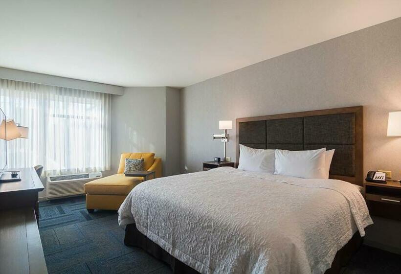 اتاق استاندارد با تخت بزرگ, Hampton Inn Chicago North-loyola Station