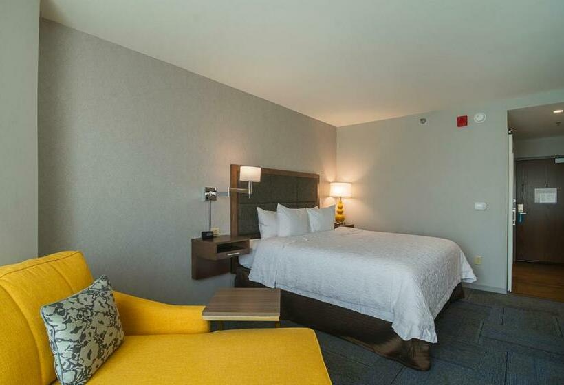 اتاق استاندارد با تخت بزرگ, Hampton Inn Chicago North-loyola Station