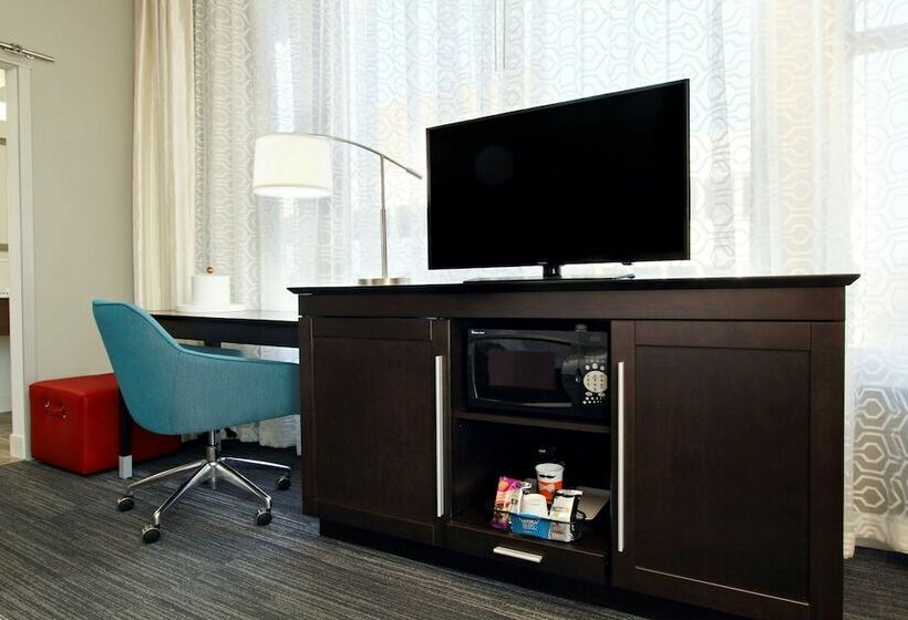 اتاق استاندارد با تخت بزرگ, Hampton Inn Kansas City/downtown Financial District