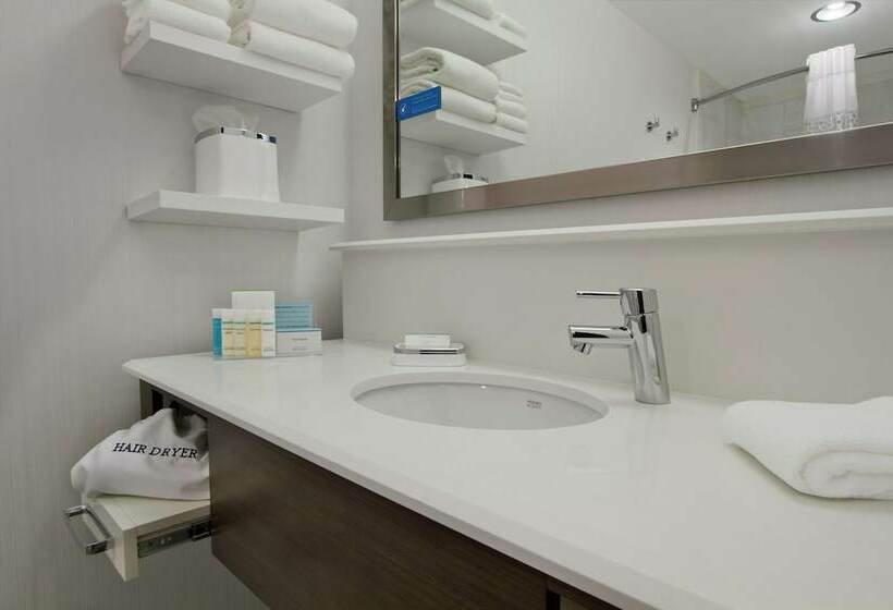 اتاق استاندارد با تخت بزرگ, Hampton Inn Kansas City/downtown Financial District