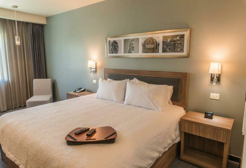 اتاق استاندارد با تخت بزرگ برای معلولان, Hampton Inn & Suites By Hilton Salamanca Bajio