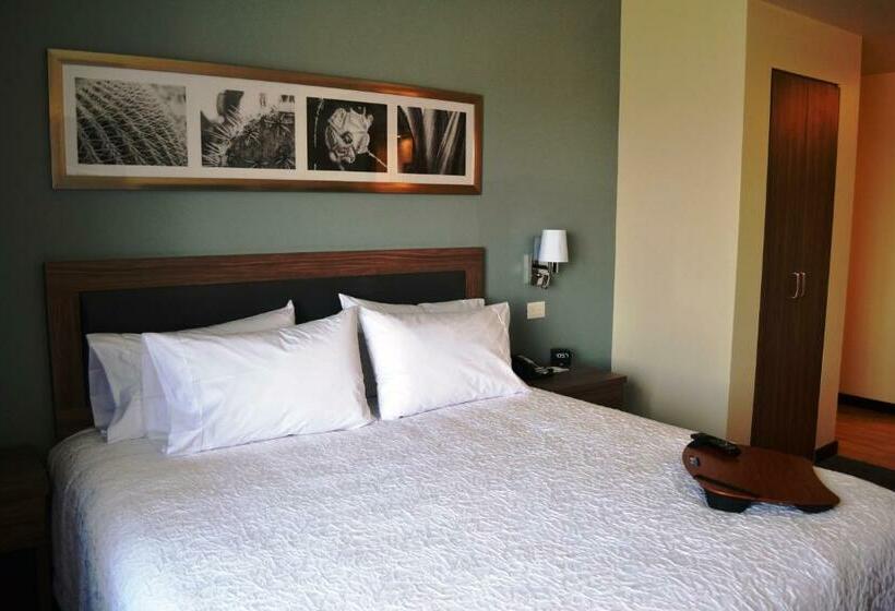 اتاق استاندارد با تخت بزرگ برای معلولان, Hampton Inn & Suites By Hilton Salamanca Bajio