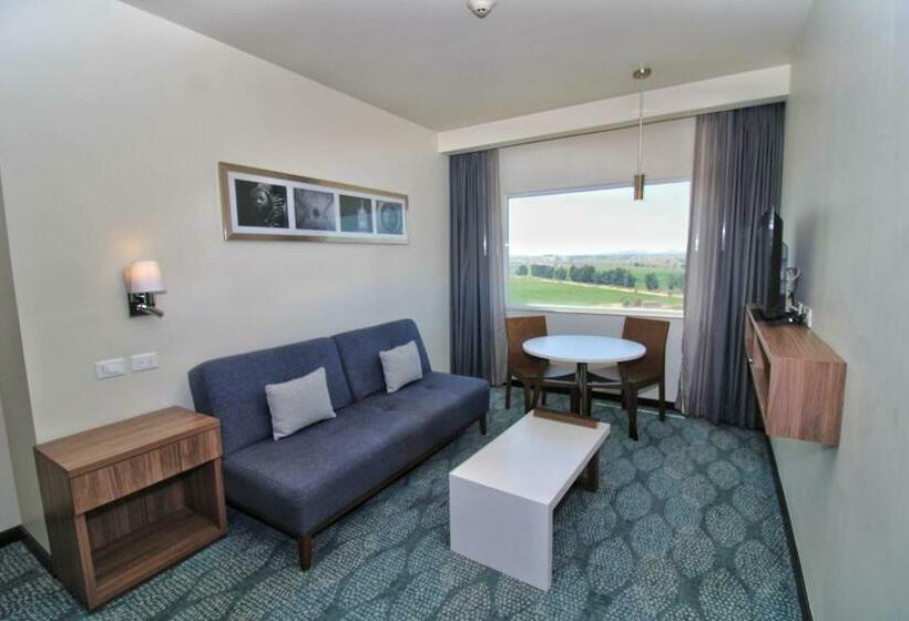 سوئیت با تخت بزرگ, Hampton Inn & Suites By Hilton Salamanca Bajio