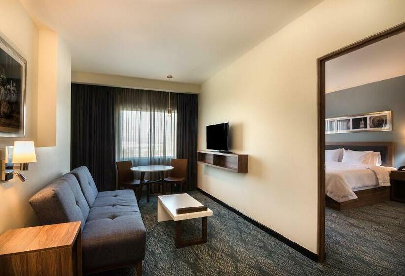سوئیت با تخت بزرگ, Hampton Inn & Suites By Hilton Salamanca Bajio