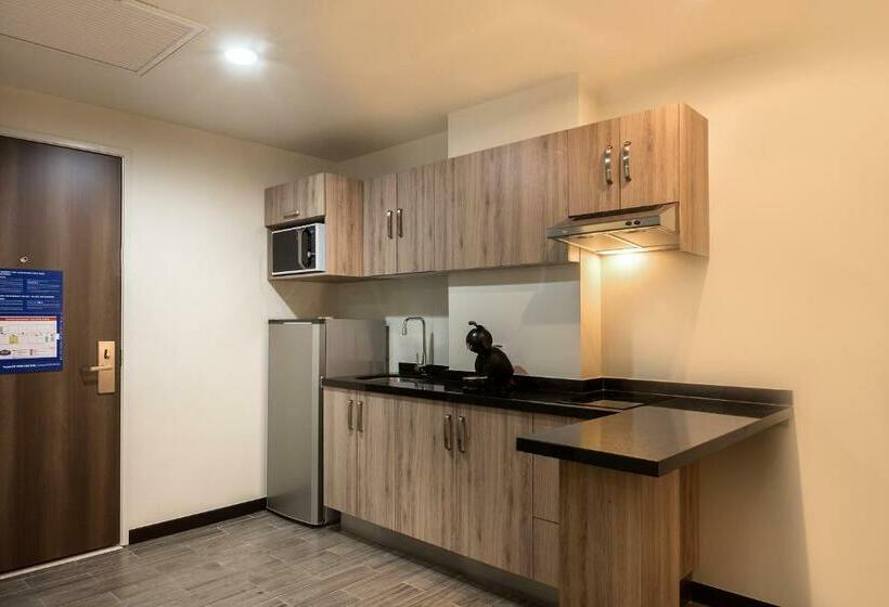 سوئیت با تخت بزرگ, Hampton Inn & Suites By Hilton Salamanca Bajio
