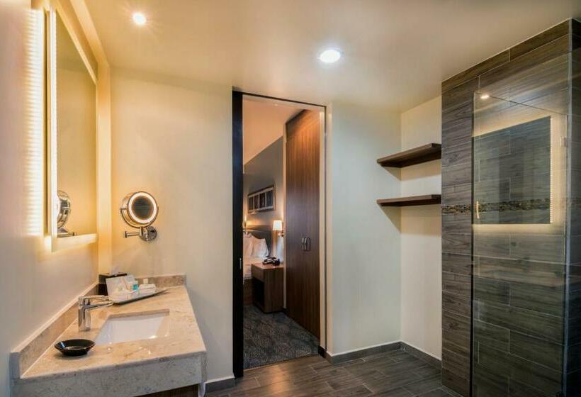 سوئیت با تخت بزرگ, Hampton Inn & Suites By Hilton Salamanca Bajio