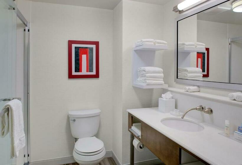 اتاق اجرایی با تخت بزرگ, Hampton Inn & Suites Columbus Scioto Downs