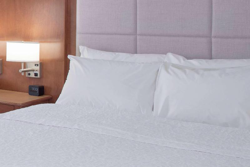 اتاق استاندارد با تخت بزرگ, Hampton Inn & Suites Columbus Scioto Downs