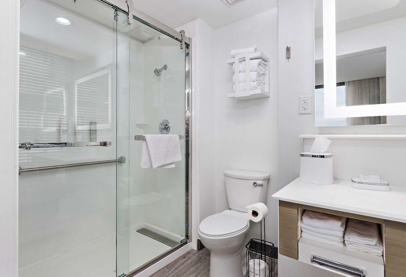 اتاق استاندارد با تخت بزرگ, Hampton Inn Kansas City/downtown Financial District