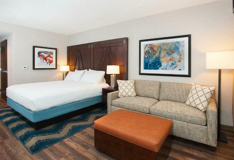 اتاق استاندارد با تخت بزرگ برای معلولان, Hilton Garden Inn Burbank Downtown