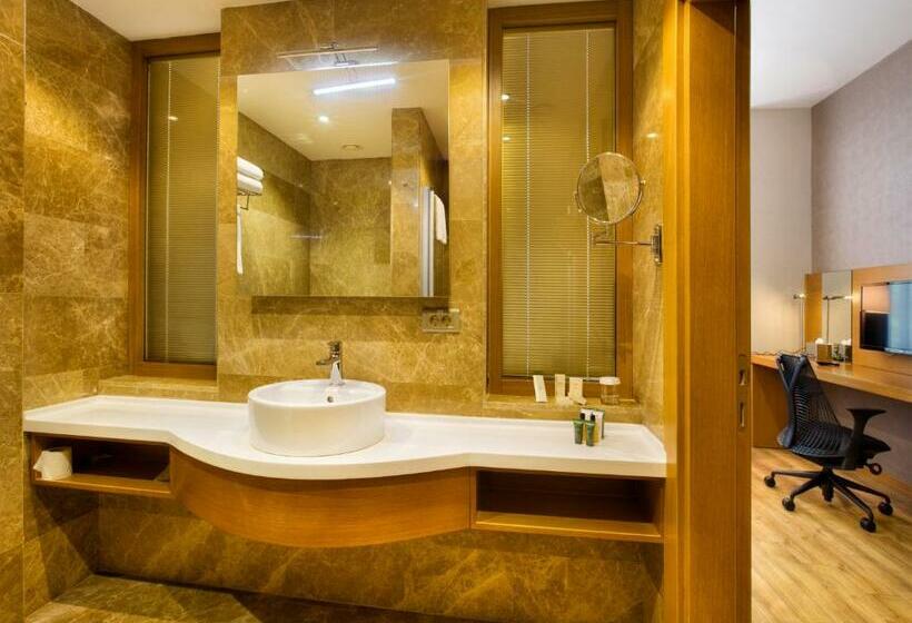 اتاق استاندارد با تخت بزرگ, Hilton Garden Inn Kocaeli Sekerpinar