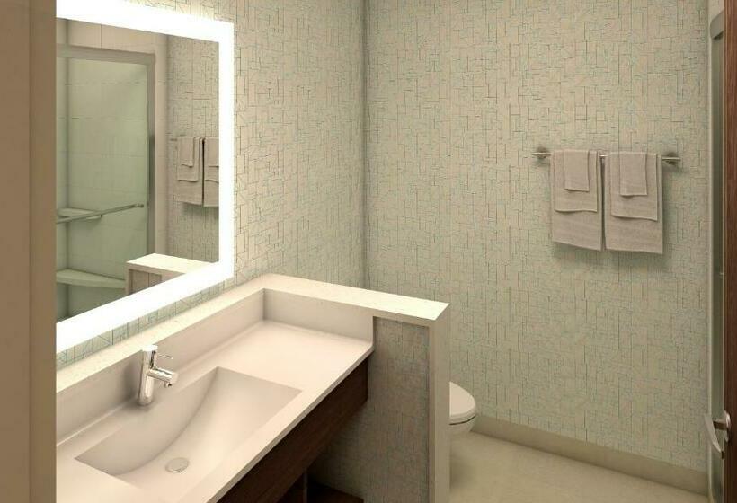 اتاق استاندارد با تخت بزرگ, Holiday Inn Express & Suites Omaha Airport, An Ihg