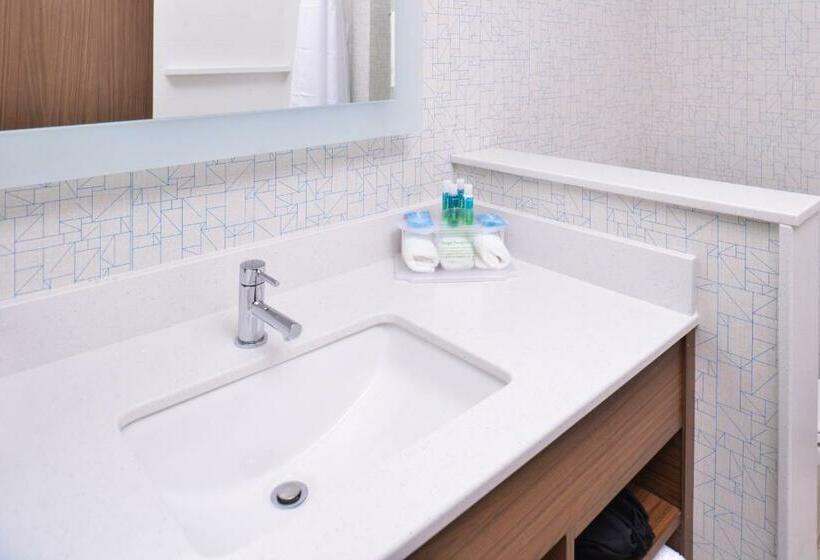 اتاق استاندارد با تخت بزرگ, Holiday Inn Express & Suites Omaha Airport, An Ihg