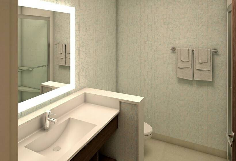 اتاق استاندارد, Holiday Inn Express & Suites Omaha Airport, An Ihg