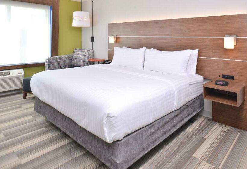 اتاق استاندارد با تخت بزرگ, Holiday Inn Express & Suites Omaha Airport, An Ihg