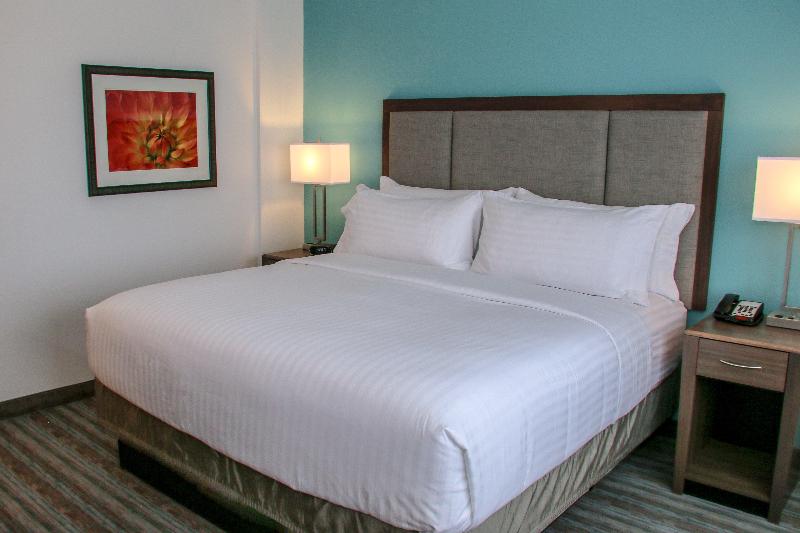 اتاق استاندارد با تخت بزرگ برای معلولان, Holiday Inn & Suites Denver Tech Center Centennial, An Ihg