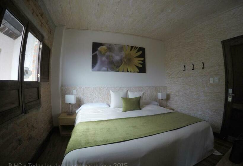 اتاق استاندارد, Termales Del Ruiz