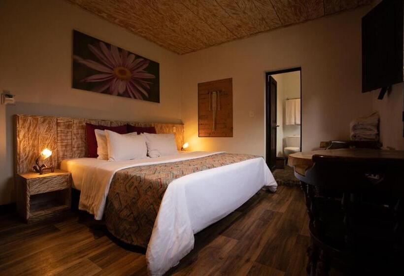 اتاق استاندارد, Termales Del Ruiz