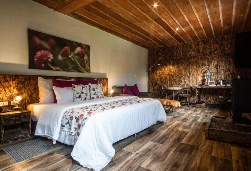 سوییت جونیور, Termales Del Ruiz