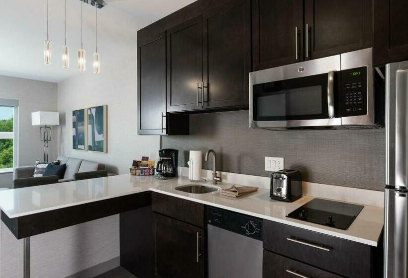 سوئیت با تخت بزرگ, Residence Inn By Marriott Oklahoma City Norman