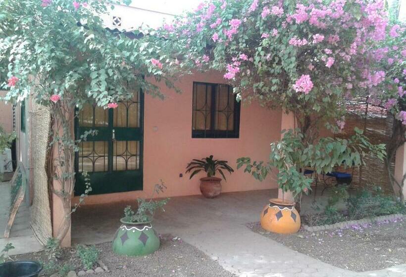 اتاق استاندارد با چشم‌انداز باغ, Hôtel Les Palmiers