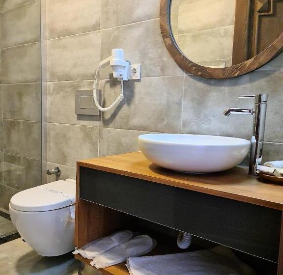 اتاق اکونومی, In Ephesus Hotel And Art Galery