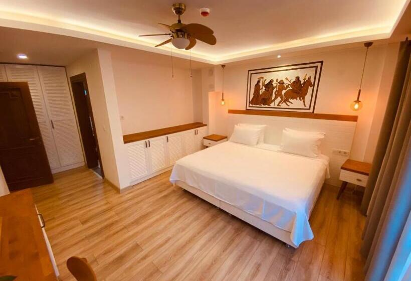 اتاق لوکس با چشم‌انداز شهر, In Ephesus Hotel And Art Galery