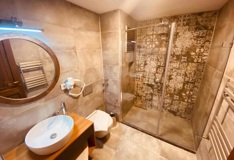 اتاق لوکس با چشم‌انداز شهر, In Ephesus Hotel And Art Galery