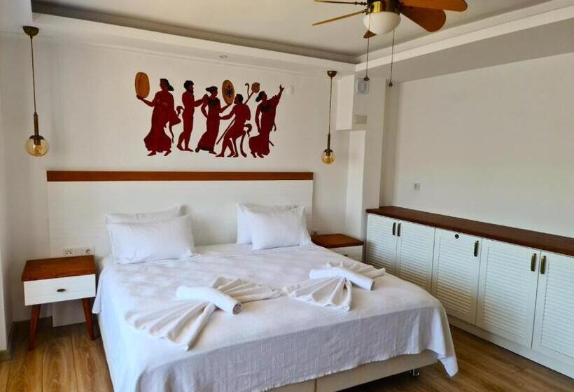اتاق سوپریور, In Ephesus Hotel And Art Galery