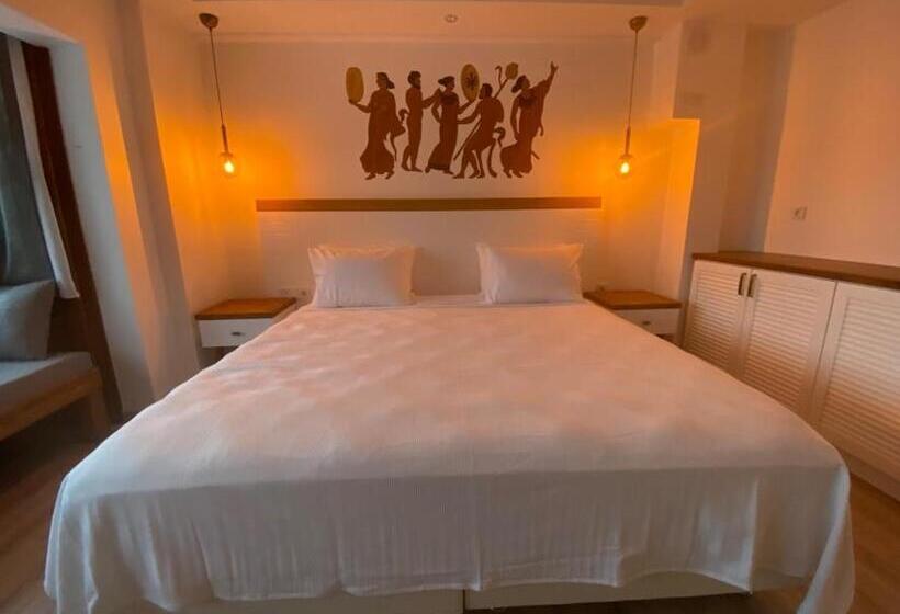اتاق سوپریور, In Ephesus Hotel And Art Galery