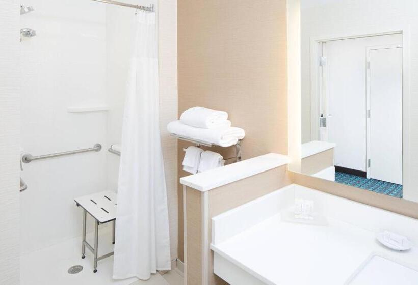 اتاق استاندارد با تخت بزرگ, Fairfield Inn & Suites By Marriott Savannah Downtown Historic District