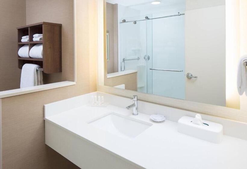 سوئیت برای معلولان, Fairfield Inn & Suites By Marriott Savannah Downtown Historic District