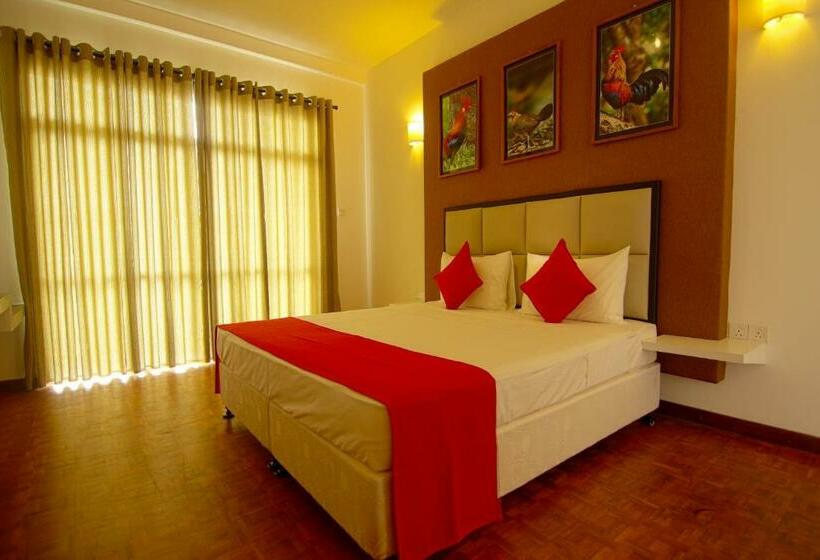 اتاق لوکس, Jade Green Hambantota