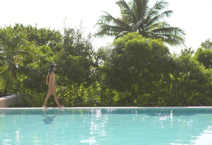 تختخواب در اتاق مشترک, Unico Hotel Riviera Maya Adults Only