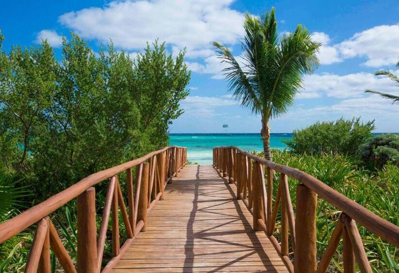 اتاق استاندارد, Unico Hotel Riviera Maya Adults Only