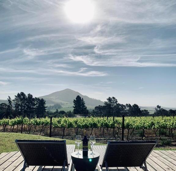 شاليه سوبيريور غرفة نوم واحدة, Marianne Wine Estate
