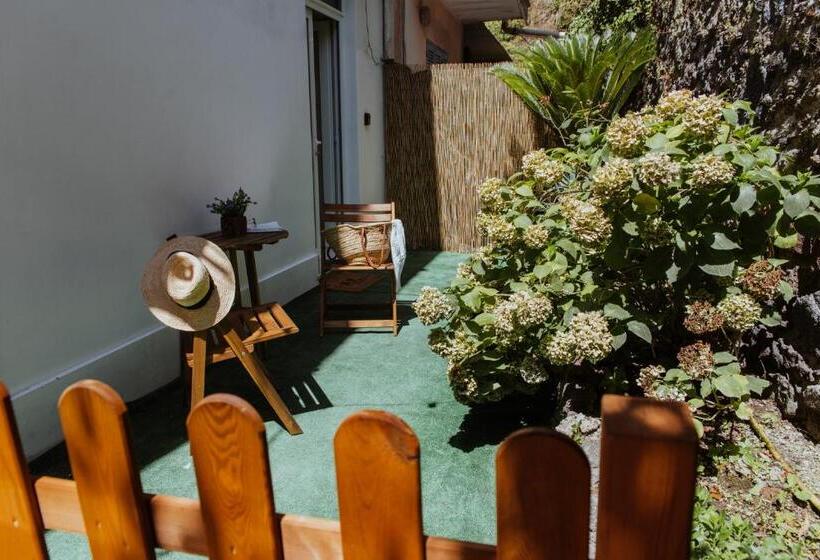 اتاق استاندارد, Lemon Tree Rooms