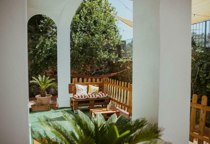 اتاق استاندارد با چشم‌انداز باغ, Lemon Tree Rooms